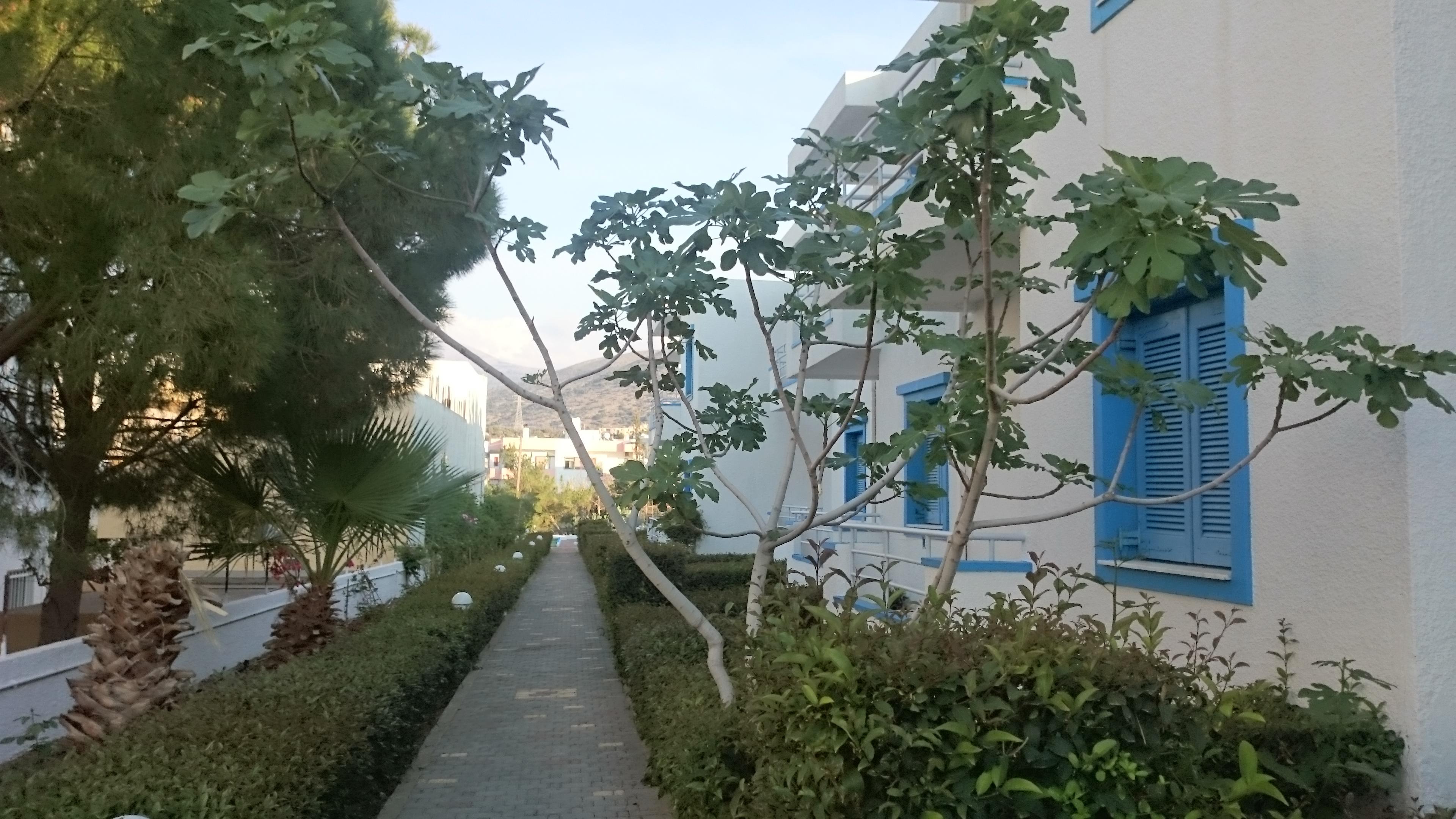 阿玛松尼斯别墅公寓酒店 赫索尼索斯 外观 照片