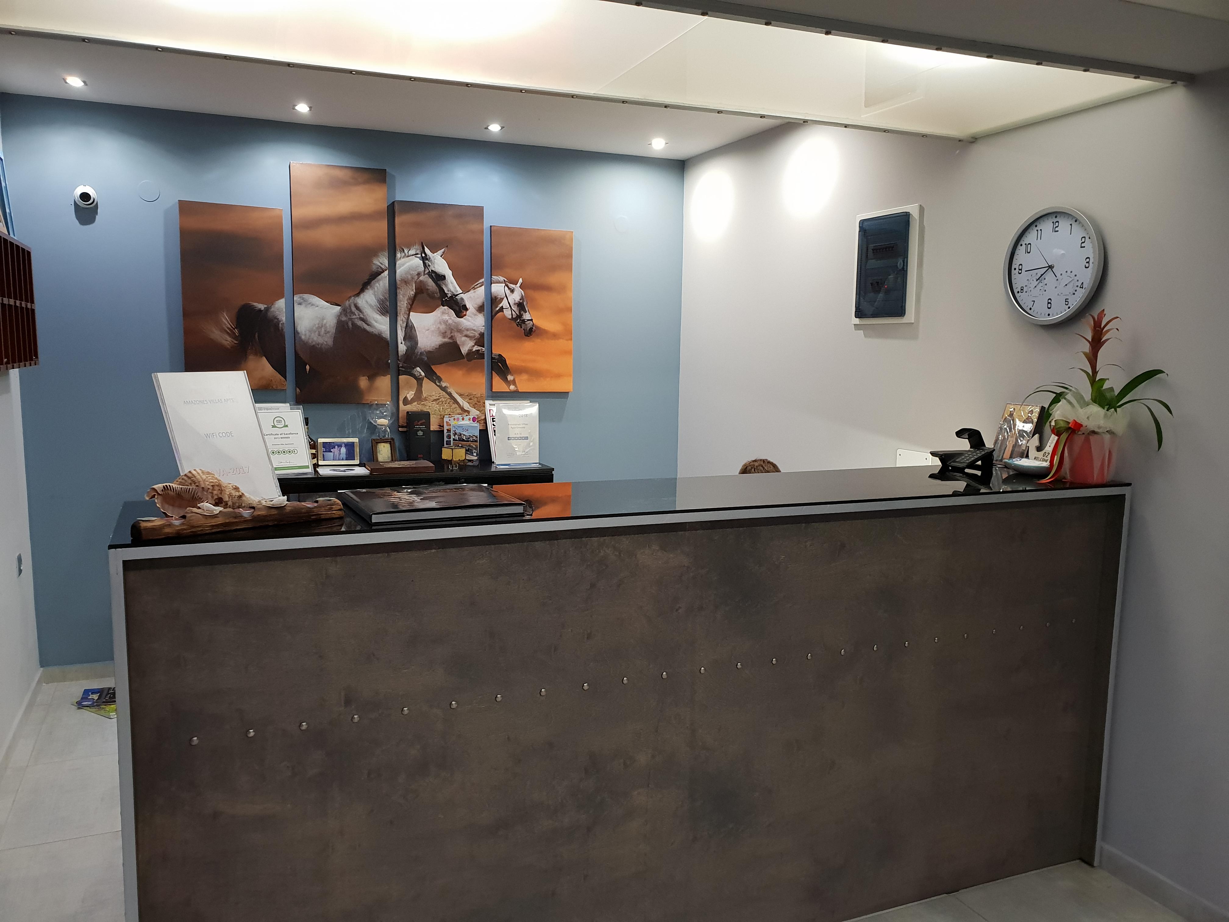 阿玛松尼斯别墅公寓酒店 赫索尼索斯 外观 照片